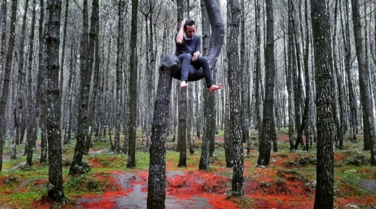 Hutan Pinus Kayon via IG @galeriwisatawan, Rekomendasi Tempat Wisata di Jawa Tengah, Tempat Wisata di Semarang Jawa Tengah, Tempat Wisata di Salatiga Jawa Tengah, Tempat Wisata di Purwokerto Jawa Tengah, Tempat Wisata di Purworejo, Tempat Wisata di Jawa Tengah Hits Lainnya