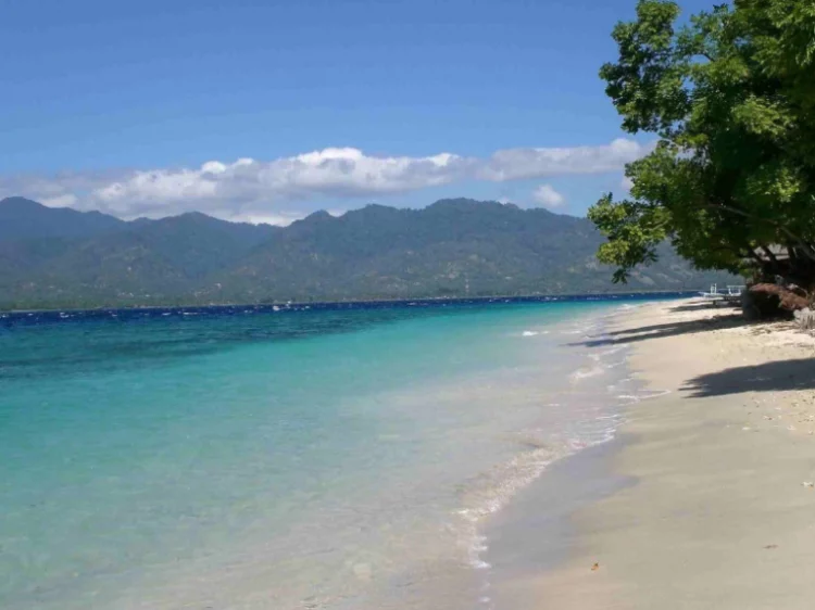Keindahan Pantai Situbondo, Sejarah Singkat, Mengenal Wisata Pantai Pasir Putih, Lokasi Wisata Pantai Pasir Putih, Harga Tiket Masuk, Rute Perjalanan Menuju Wisata Pantai, Fasilitas Pasir Putih Situbondo, Daya Tarik Wisata Pantai Pasir Putih Situbondo, Aktivitas Seru di Wisata Bahari Pasir Putih Situbondo, Hotel di Pantai Pasir Putih Situbondo, Tips Wisata