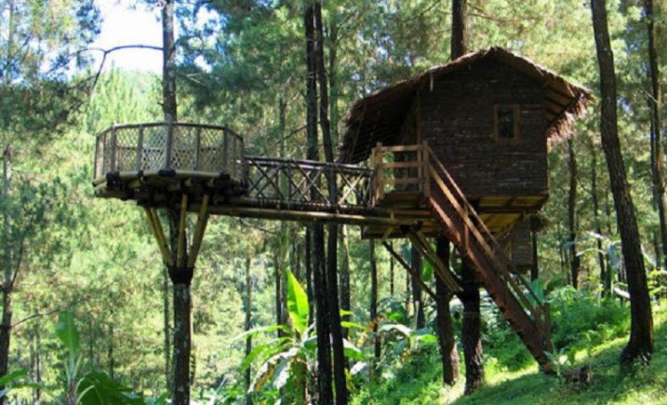 Rumah Hutan Serang, 1. Pantai Anyer, 2. Pantai Carita, 3. Pantai Karang Bolong, 4. Pantai Kelapa Tujuh, 5. Pantai Lontar, 6. Pantai Tanjung Lesung, 7. Bukit Teletubbies Cilegon, 8. Gunung Batu Lawang, 9. Curug Sawer Banten, 10. Pulau Dua atau Pulau Burung, 11. Rumah Hutan Serang