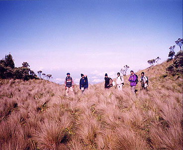 Sabana 1, Basecamp Pendakian Gunung Merbabu, Pos Pertama, Pos Kedua, Pos Ketiga, Pos Keempat, Pos Kelima, Estimasi Total Waktu Pendakian