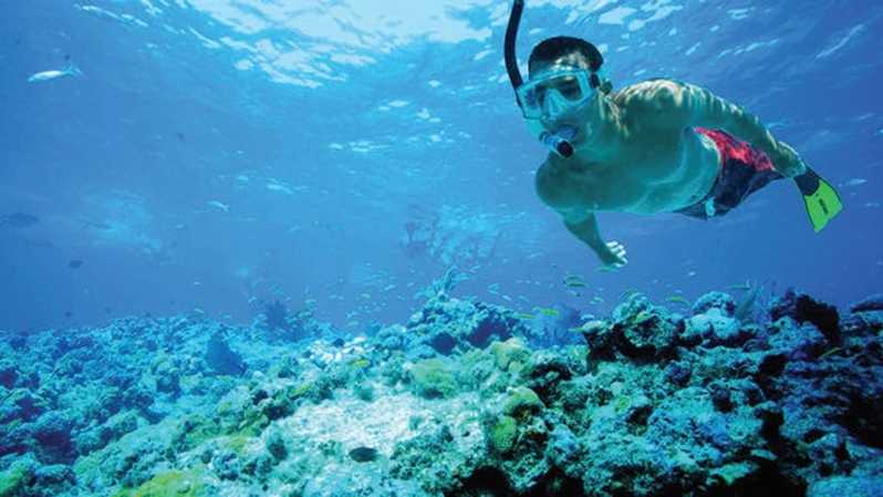 Snorkeling via Pantai Pasir Putih, Sejarah Singkat, Mengenal Wisata Pantai Pasir Putih, Lokasi Wisata Pantai Pasir Putih, Harga Tiket Masuk, Rute Perjalanan Menuju Wisata Pantai, Fasilitas Pasir Putih Situbondo, Daya Tarik Wisata Pantai Pasir Putih Situbondo, Aktivitas Seru di Wisata Bahari Pasir Putih Situbondo, Hotel di Pantai Pasir Putih Situbondo, Tips Wisata
