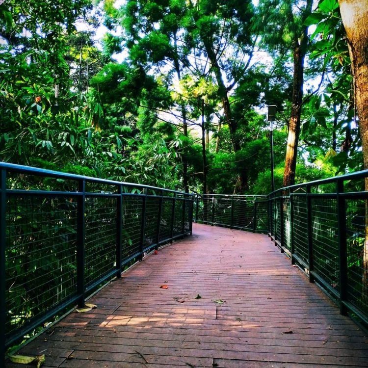 Taman Hutan Babakan Siliwangi via IG @budicloud, 1. Mari mulai dari atraksi wisata populer di Bandung yang bisa kalian jajal dengan harga minimalis, bahkan ada yang gratis lho! Misalnya saja aneka taman tematiknya yang keren, 2. Dengan 10 ribu rupiah, kalian bisa mengelilingi kota Bandung sambil bergaya keren di atas Bus Bandros, 3. Salurkan hasratmu jadi koboi dengan naik kuda. Harganya mulai dari 5 ribuan saja lho, 4. Ingin tahu seperti apa suasana pasar terapung? Nggak usah jauh-jauh ke Thailand karena di Bandung pun ada Floating Market, 5. Terkadang, wisata murah bisa begitu dekat dengan bintang. Nggak percaya? Mampir saja ke Observatorium Bosscha yang ada di bilangan Lembang untuk membuktikannya, 6. Walau bukan obyek wisata mayor, Cagar Alam Junghuhn layak untuk dikunjungi oleh kalian yang menghargai jasa para pahlawan, 7. Air terjun Maribaya selalu menjadi favorit bagi mereka yang mencintai suasana alam dengan budget yang ekonomis, 8. Dan, dari Maribaya, kalian bisa langsung menuju Taman Hutan Raya Juanda. Harga tiketnya sama ekonomisnya lho, 9. Untuk melengkapi kunjungan di Taman Hutan Raya Juanda, sekalian saja mampir ke tempat selfie paling populer di Bandung, yaitu Tebing Keraton, 10. Menikmati sejuknya udara Bandung bisa kalian lakukan sambil mengenal ragam fauna di Kebun Binatang Bandung, 11. Area Bandung Selatan juga punya banyak obyek wisata yang menyayangi kantong kalian. Misalnya saja wisata Kawah Putih-nya yang super populer itu, 12. Untuk kalian para pecinta wisata alam dan pengagum nilai-nilai romantisme, Situ Patenggang menjadi tempat yang wajib kalian sambangi di Bandung, 13. Mampirlah ke Pemandian Air Panas Cibolang yang akan menghangatkan tubuh kalian dari gigitan udara dingin di Ciwidey, 14. Cibolang bukan satu-satunya tempat yang dapat menghangatkan tubuh kalian saat dingin. Kunjungi saja Taman Wisata Alam Cimanggu yang juga menawarkan kolam pemandian air panas alami, 15. Atau, mampirlah ke pemandian Air Panas Alami Walini/Rancawalini juga populer di wilayah Ciwidey. Kalian dapat menikmati suasana berendam air panas di tengah perkebunan teh, 16. Wisata di Ciwidey akan semakin lengkap jika kalian berjalan-jalan di tengah Perkebunan Teh Rancabali. Pemandangannya yang indah akan membuat siapapun mendadak suka mengambil foto, 17. Untuk menutup wisata hemat di Bandung, mampirlah ke Pasar Gedebage untuk belanja pakaian second berkualitas bagus. Harganya? Murah meriah!, 18. Balitsa Lembang yang Instagramable, 19. Keindahan Babakan Siliwangi yang bikin mata terpana, 20. Mengintip Dinosaurus di Museum Geologi, 21. Kawah Rengganis yang begitu eksotis, 22. Epic Sunrise di Venue Gantole Cililin, 23. Menikmati pesona alam hijau di Bukit Teletubies, 24. Menikmati pesona alam hijau khas bebukitan di Bukit Jamur, 25. Pesona Curug Bellarosa yang bikin pikiran adem, 26. Epiknya pemandangan di Gunung Nini Pangalengan