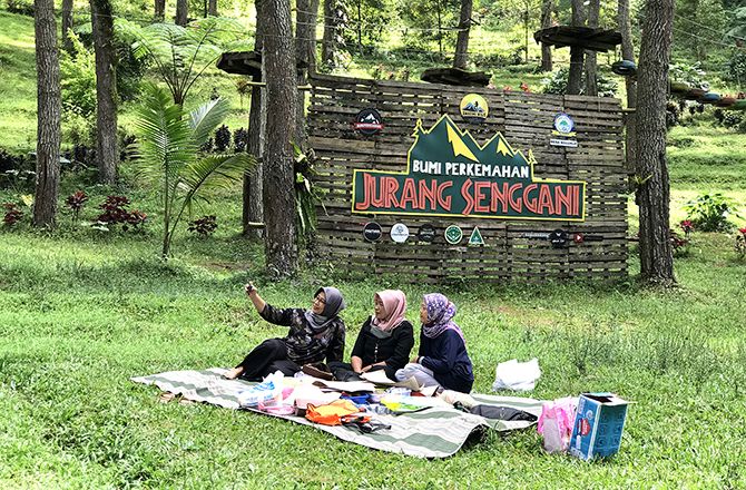 Informasi Umum, Harga Tiket Masuk Jurang Senggani Sendang, Lokasi dan Rute Menuju Jurang Senggani Sendang, Spot Foto Jurang Senggani Sendang, Daya Tarik, Galeri Foto