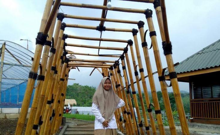 Lokasi dan Harga Tiket Masuk Kebun Pak Budi Pasuruan, Informasi Umum, Harga Tiket Masuk Wisata, Lokasi Wisata Kebun Pak Budi, Rute Wisata Kebun Pak Budi, Fasilitas Wisata, Daya Tarik, Aktivitas Seru
