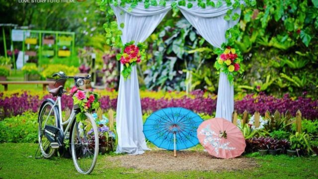Area kebun bunga warna-warni di Melrimba Garden Bogor. Foto Instagram @melrimbagarden, Informasi Umum, Daya Tarik Melrimba Garden, Tarif Camping Di Wisata Melrimba Garden Bogor, Harga Tiket Masuk Melrimba Garden Bogor, Spot Foto Instagramable, Lokasi Objek Wisata, Aktivitas Seru di Melrimba Garden, Galeri Foto Wisata Melrimba Garden