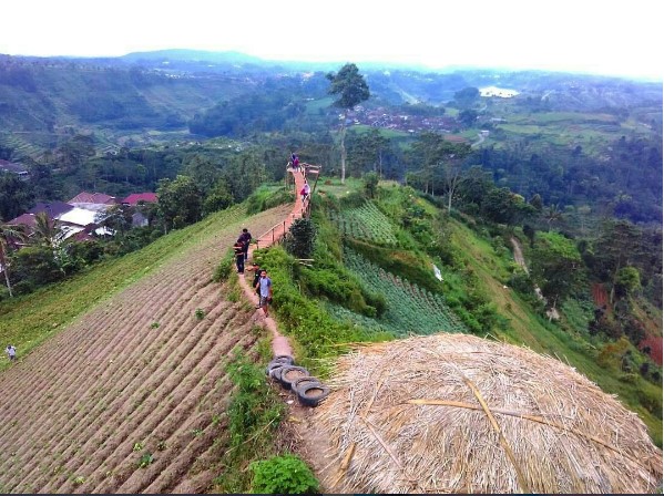 Spot Foto Wisata Puntok Geneng Poncol, Informasi Umum, Lokasi Wisata Puntok Geneng Poncol, Rute Menuju Objek Wisata, Harga Tiket Masuk Wisata Puntok Geneng Poncol, Daya Tarik