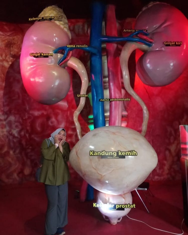 Belajar Organ Dalam Manusia, Informasi Umum, Akses Menuju Lokasi The Bagong Adventure Museum Tubuh, Harga Tiket Masuk The Bagong Adventure Museum Tubuh, Fasilitas yang Disediakan, Spot Wisata di Museum Tubuh, Galeri Foto