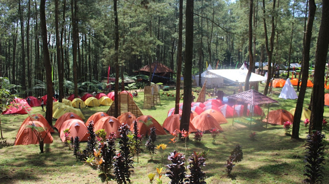 Bumi Perkemahan Jurang Senggani - Info Jam Buka, Alamat dan Ulasan Pengunjung, Informasi Umum, Harga Tiket Masuk Jurang Senggani Sendang, Lokasi dan Rute Menuju Jurang Senggani Sendang, Spot Foto Jurang Senggani Sendang, Daya Tarik, Galeri Foto