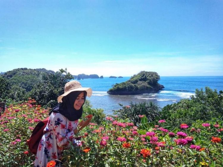 Bunga di pantai teluk asmoro, Informasi Umum, Daya Tarik, Harga Tiket Masuk Pantai Teluk Asmara, Fasilitas Pantai, Aktivitas Seru Pantai Teluk Asmara, Galeri Foto