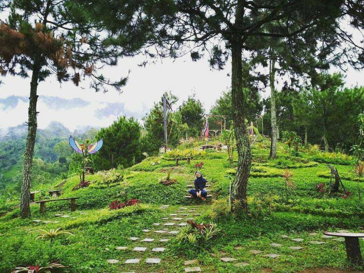 Bukit Taman via Instagram.com @bingek_scooter, Informasi Umum, Lokasi Coban Parang Tejo Malang, Harga Tiket Masuk Coban Parang Tejo Malang, Daya Tarik, Spot Foto di Coban Parang Tejo Malang
