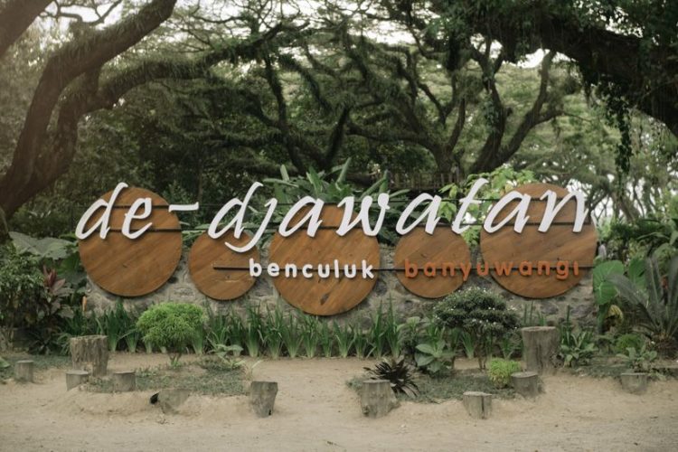 De Djawatan Benculuk via Kompasiana, Informasi Umum, Lokasi Wisata Hutan De Djawatan, Fasilitas & Wahana yang Tersedia , Harga Tiket Masuk Wisata Hutan Eksotis Jawatan, Berwisata di Hutan De Djawatan Bareng Keluarga, Spot Foto Instagramable De Djawatan Jawatan, Tips Liburan