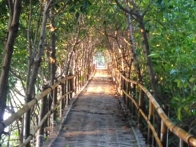 Dermaga Hutan Mangrove Pandansari Brebes via Google Maps @Ihda Maulida, Informasi Umum, Lokasi Hutan Mangrove Pandansari, Rute Menuju Lokasi Hutan Mangrove Pandansari, Harga Tiket Masuk Hutan Mangrove Pandansari, Jam Buka Objek Wisata Hutan Mangrove Pandansari, Fasilitas Wisata Hutan Bakau, Kegiatan Seru Selama di Hutan Mangrove Pandasari