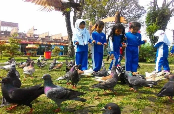 Di Forest Jungle ini anak-anak bisa berinteraksi dengan hewan-hewan lucu seperti burung dara dan kelinci, Informasi Umum, Lokasi dari Santasea Waterpark, Tiket Masuk Santasea Waterpark, Fasilitas Sangat Lengkap, Wahana Permainan Seru, Tips Wisata