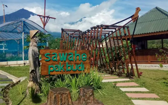 Di Kebun Pak Budi Wisatawan juga bisa melihat dan berkegiatan di sawah via Google Maps @mas Jon, Informasi Umum, Harga Tiket Masuk Wisata, Lokasi Wisata Kebun Pak Budi, Rute Wisata Kebun Pak Budi, Fasilitas Wisata, Daya Tarik, Aktivitas Seru