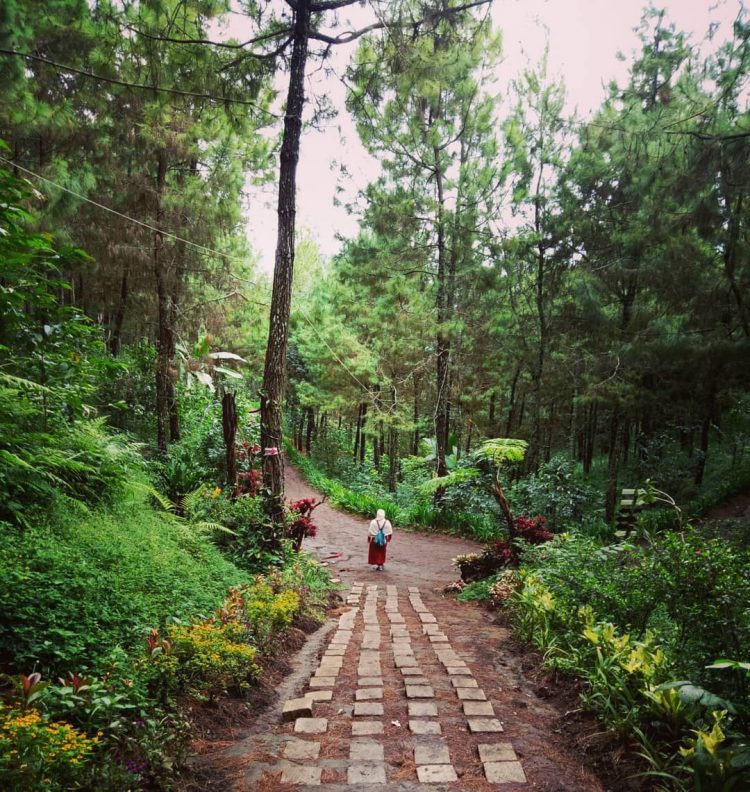 Dusun Princi via Instagram.com @cobanparangtejo, Informasi Umum, Lokasi Coban Parang Tejo Malang, Harga Tiket Masuk Coban Parang Tejo Malang, Daya Tarik, Spot Foto di Coban Parang Tejo Malang