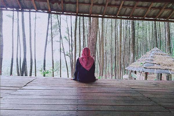 Fot ovia www.instagram.com @zelin_el, Informasi Umum, Lokasi Wisata Hutan Pinus Gogoniti Blitar, Rute Menuju Lokasi Wisata, Harga Tiket Masuk Wisata Hutan Pinus Gogoniti Blitar, Fasilitas yang Tersedia, Daya Tarik, Galeri Foto, Tips Liburan ke Hutan Pinus di Blitar