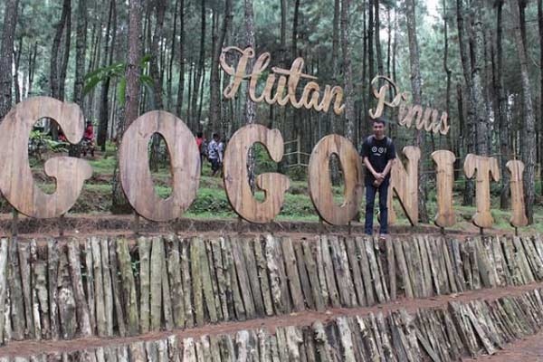 Foto via www.instagram.com @dickyfianditoo, Informasi Umum, Lokasi Wisata Hutan Pinus Gogoniti Blitar, Rute Menuju Lokasi Wisata, Harga Tiket Masuk Wisata Hutan Pinus Gogoniti Blitar, Fasilitas yang Tersedia, Daya Tarik, Galeri Foto, Tips Liburan ke Hutan Pinus di Blitar