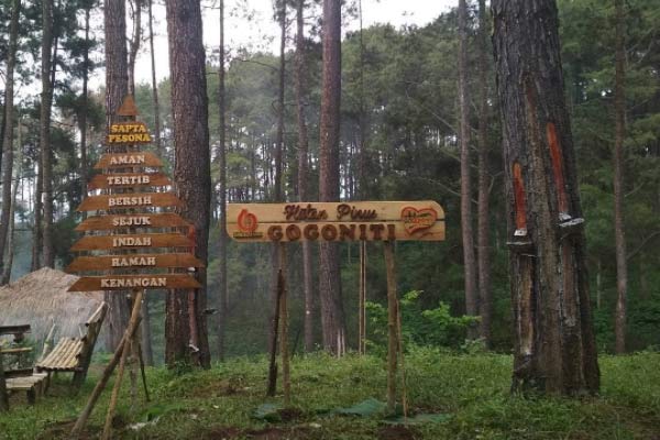 Foto via www.instagram.com @wisatagogoniti, Informasi Umum, Lokasi Wisata Hutan Pinus Gogoniti Blitar, Rute Menuju Lokasi Wisata, Harga Tiket Masuk Wisata Hutan Pinus Gogoniti Blitar, Fasilitas yang Tersedia, Daya Tarik, Galeri Foto, Tips Liburan ke Hutan Pinus di Blitar