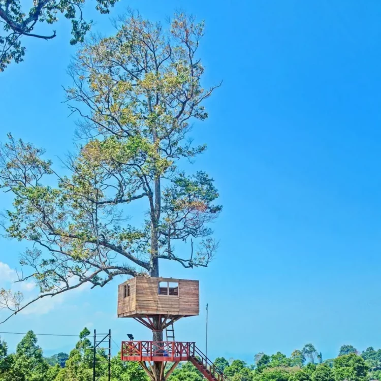 Foto via Instagram.com @Zayusher, Informasi Umum, Lokasi Muncak Tirtayasa Pesawaran Lampung, Rute Menuju Muncak Tirtayasa Pesawaran Lampung, Harga Tiket Masuk Muncak Tirtayasa Pesawaran Lampung, Fasilitas Muncak Tirtayasa, Jam Operasional, Daya Tarik Muncak Tirtayasa, Galeri Foto