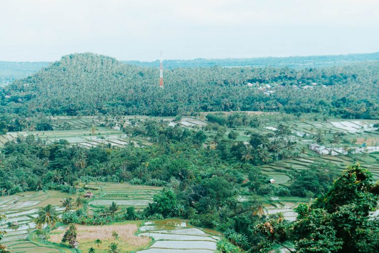 Hijaunya pemandangan dari Rumah Pohon Gangga Murmas via Lostpacker, Informasi Umum, Lokasi Rumah Pohon Gangga Murmas Lombok Utara, Rute Menuju Rumah Pohon Gangga Murmas, Harga Tiket Masuk Rumah Pohon Gangga Murmas, Galeri Foto