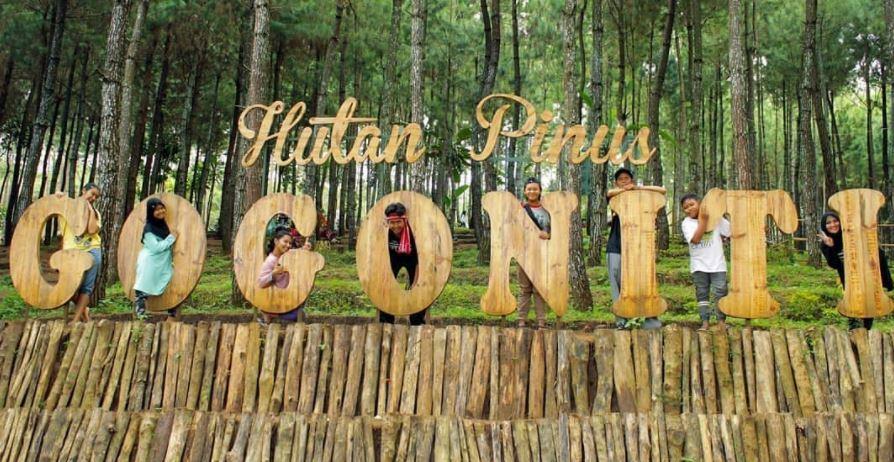 Hutan Pinus Gogoniti, Wisata Terbaru Blitar yang Asyik, Informasi Umum, Lokasi Wisata Hutan Pinus Gogoniti Blitar, Rute Menuju Lokasi Wisata, Harga Tiket Masuk Wisata Hutan Pinus Gogoniti Blitar, Fasilitas yang Tersedia, Daya Tarik, Galeri Foto, Tips Liburan ke Hutan Pinus di Blitar