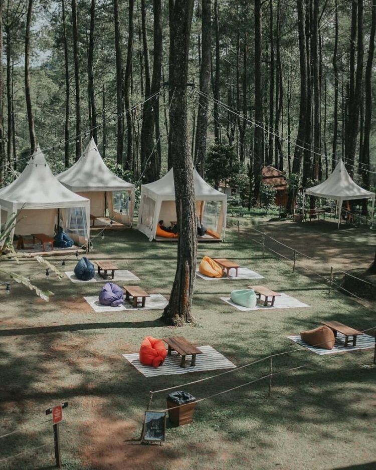 Ilustrasi via instagram @wisata_pekalongan_batang, Informasi Umum, Lokasi Wana Wisata Prabalitang Danasari Tegal, Rute Menuju Wisata Prabanlitang Danasari Tegal, Harga Tiket Masuk Wisata Prabanlintang Danasari Tegal, Fasilitas Wana Wisata Prabanlintang Danasari Tegal, Daya Tarik Wisata dengan Spot Instagramable