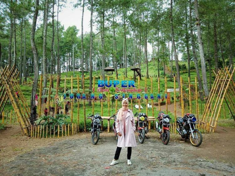 Jurang Senggani Tulungagung, Bumi Perkemahan Dengan Suguhan Spot Foto Menarik, Informasi Umum, Harga Tiket Masuk Jurang Senggani Sendang, Lokasi dan Rute Menuju Jurang Senggani Sendang, Spot Foto Jurang Senggani Sendang, Daya Tarik, Galeri Foto