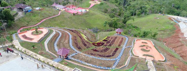 Kebun Raya Liwa. (Foto kebunrayadaerah.krbogor.lipi.go.id), Informasi Umum, Harga Tiket Masuk Kebun Raya Liwa Lampung, Harga Tiket Masuk, Jam Buka, Daya Tarik Kebun Raya Liwa, Galeri Foto