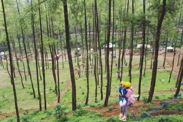 Keseruan Wahana Flying Fox, Informasi Umum, Daya Tarik, Lokasi Hutan Pinus Bendosari Pujon, Rute Hutan Pinus Bendosari Pujon, Harga Tiket Masuk Hutan Pinus Bendosari Pujon., Arena Permainan Seru, Kapal Raksasa di Tengah Hutan, Taman Bunga, Tempat Camping Asyik, Coba Wahana Flying Fox, Galeri Foto