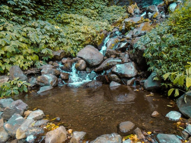Kolam di bawah air terjun (c) Welly Handoko Travelingyuk, Informasi Umum, Lokasi Coban Parang Tejo Malang, Harga Tiket Masuk Coban Parang Tejo Malang, Daya Tarik, Spot Foto di Coban Parang Tejo Malang