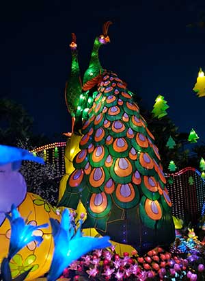 Lampion Merak, Informasi Umum, Lokasi Wisata Malang Night Paradise, Harga Tiket Masuk Wisata Malang Night Paradise, Fasilitas, Kendaraan Menuju ke MNP, Wahana Taman Lampion Malang Night Paradise, Wahana Taman Dinosaurus, Wahana Permainan, Informasi Penting