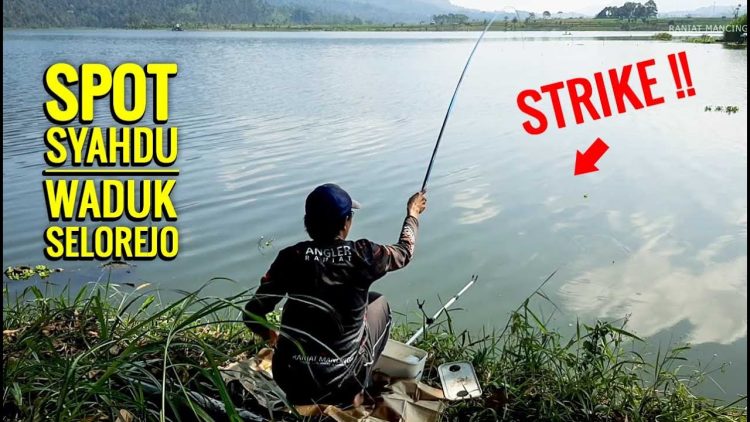Mancing di Waduk Selorejo via Youtube, Informasi Umum, Alamat dan Akses Menuju Lokasi Waduk, Jam Operasional Waduk Selorejo, Harga Tiket Masuk Wisata Waduk Selorejo, Fasilitas yang Tersedia di Wisata Waduk Selorejo, Spot Wisata di Waduk Selorejo, Aktivitas Seru di Waduk Selorejo