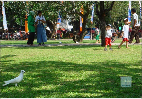 Main dengan Burung Merpati, Informasi Umum, Sejarah Alun-alun kota Malang dari Alun-alun Merdeka, Alun Alun Bunder, Akses Menuju ke Alun-alun Kota Malang, Harga Tiket Masuk, Fasilitas yang Tersedia, Waktu Terbaik Berkunjung & Jam Operasional, Kegiatan Seru Alun-alun kota Malang