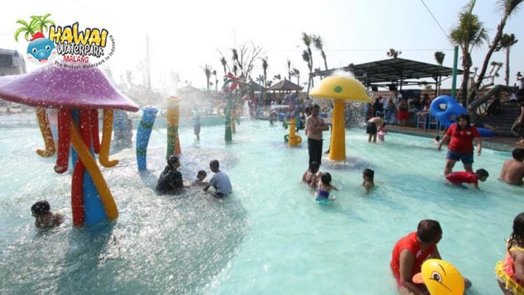 Mavi Island, Informasi Umum, Lokasi dan Rute Wisata Hawai Water Park, Harga Tiket Masuk Hawai Water Park, Fasilitas Pendukung, Wahana di Hawaii Water Park, Informasi Penting
