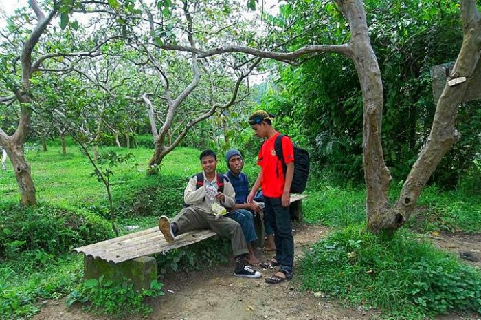Mengunjungi Pulau Jambu via SUltankurnia.blogspotcom, Informasi Umum, Alamat dan Akses Menuju Lokasi Waduk, Jam Operasional Waduk Selorejo, Harga Tiket Masuk Wisata Waduk Selorejo, Fasilitas yang Tersedia di Wisata Waduk Selorejo, Spot Wisata di Waduk Selorejo, Aktivitas Seru di Waduk Selorejo