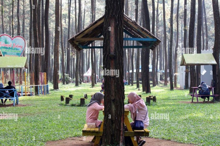 Meja dan kursi via Alamy, Informasi Umum, Lokasi Wana Wisata Prabalitang Danasari Tegal, Rute Menuju Wisata Prabanlitang Danasari Tegal, Harga Tiket Masuk Wisata Prabanlintang Danasari Tegal, Fasilitas Wana Wisata Prabanlintang Danasari Tegal, Daya Tarik Wisata dengan Spot Instagramable