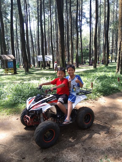 Naik ATV, Informasi Umum, Lokasi Wana Wisata Prabalitang Danasari Tegal, Rute Menuju Wisata Prabanlitang Danasari Tegal, Harga Tiket Masuk Wisata Prabanlintang Danasari Tegal, Fasilitas Wana Wisata Prabanlintang Danasari Tegal, Daya Tarik Wisata dengan Spot Instagramable