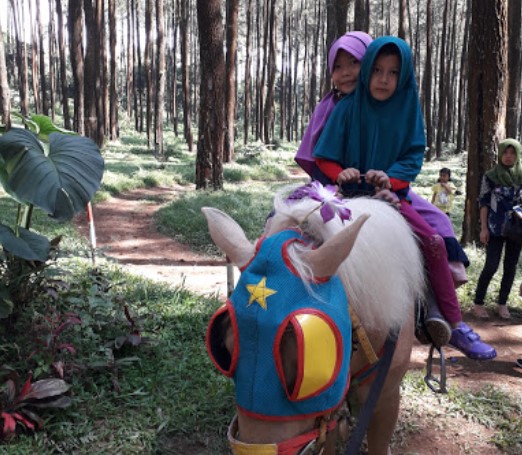 Naik Kuda, Informasi Umum, Lokasi Wana Wisata Prabalitang Danasari Tegal, Rute Menuju Wisata Prabanlitang Danasari Tegal, Harga Tiket Masuk Wisata Prabanlintang Danasari Tegal, Fasilitas Wana Wisata Prabanlintang Danasari Tegal, Daya Tarik Wisata dengan Spot Instagramable