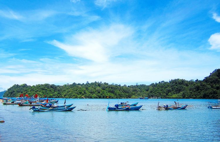Pemandangan beberapa perahu nelayan yang sedang beroperasi di tengah laut, Informasi Umum, Sejarah Asal Mula, Fasilitas yang Tersedia di Wisata Pantai Sendang Biru, Lokasi Wisata Pantai Sendang Biru, Keindahan dan Potensi, Pelelangan Ikan, Penginapan, Galeri Foto