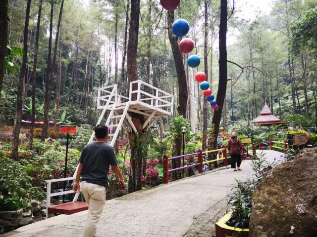 Pesona Hutan Pinus di Srambang Park Ngawi via Google Maps @Erri Prasetya, Informasi Umum, Lokasi Srambang Wisata Park Ngawi, Harga Tiket Masuk Srambang Park Ngawi, Fasilitas Wisata Srambang Park Ngawi, Spot Foto Instagramable, Daya Tarik Objek Wisata Srambangan Park, Galeri Foto