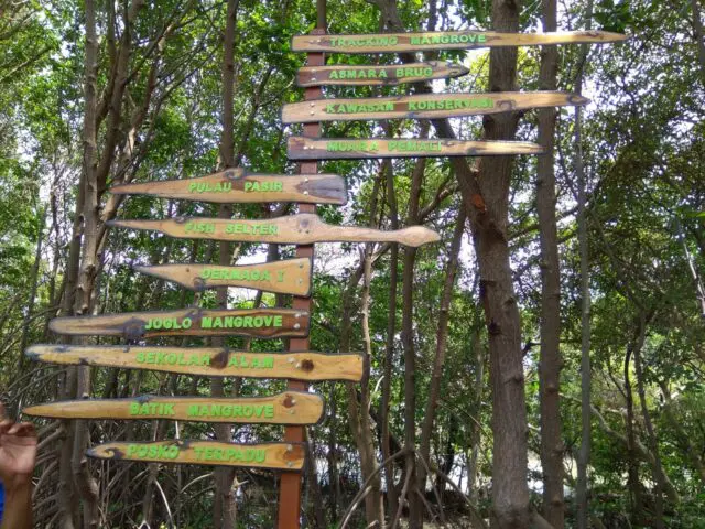 Petunjuk Arah Objek Wisata Hutan Mangrove Brebes Pandansari via Google Maps @Ika Puspita, Informasi Umum, Lokasi Hutan Mangrove Pandansari, Rute Menuju Lokasi Hutan Mangrove Pandansari, Harga Tiket Masuk Hutan Mangrove Pandansari, Jam Buka Objek Wisata Hutan Mangrove Pandansari, Fasilitas Wisata Hutan Bakau, Kegiatan Seru Selama di Hutan Mangrove Pandasari