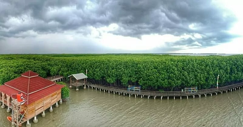 Ragam Fasilitas Di Mangrove Brebes. Google Maps. Sumber: lh5.googleusercontent.com, Informasi Umum, Lokasi Hutan Mangrove Pandansari, Rute Menuju Lokasi Hutan Mangrove Pandansari, Harga Tiket Masuk Hutan Mangrove Pandansari, Jam Buka Objek Wisata Hutan Mangrove Pandansari, Fasilitas Wisata Hutan Bakau, Kegiatan Seru Selama di Hutan Mangrove Pandasari