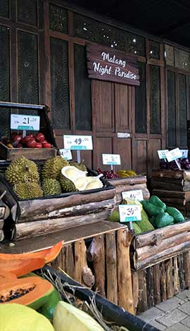 Rumah Buah, Informasi Umum, Lokasi Wisata Malang Night Paradise, Harga Tiket Masuk Wisata Malang Night Paradise, Fasilitas, Kendaraan Menuju ke MNP, Wahana Taman Lampion Malang Night Paradise, Wahana Taman Dinosaurus, Wahana Permainan, Informasi Penting
