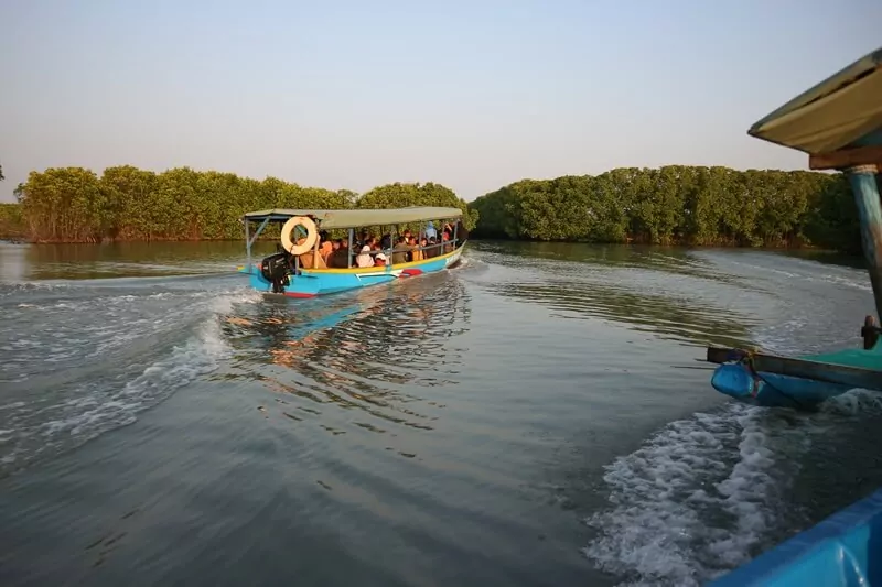 Informasi Umum, Lokasi Hutan Mangrove Pandansari, Rute Menuju Lokasi Hutan Mangrove Pandansari, Harga Tiket Masuk Hutan Mangrove Pandansari, Jam Buka Objek Wisata Hutan Mangrove Pandansari, Fasilitas Wisata Hutan Bakau, Kegiatan Seru Selama di Hutan Mangrove Pandasari