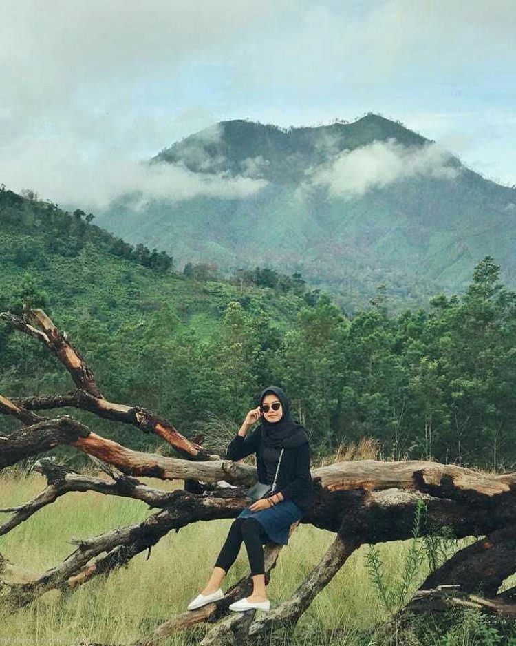 Spot Foto Instagenik Kawah Wurung via Instagramc.om @adindalesthari, Informasi Umum, Rute dan Lokasi Kawah Wurung Bondowoso, Harga Tiket Masuk Kawah Wurung Bondowoso, Jam Operasional, Fasilitas yang Tersedia, Kegiatan Seru di Kawah Wurung
