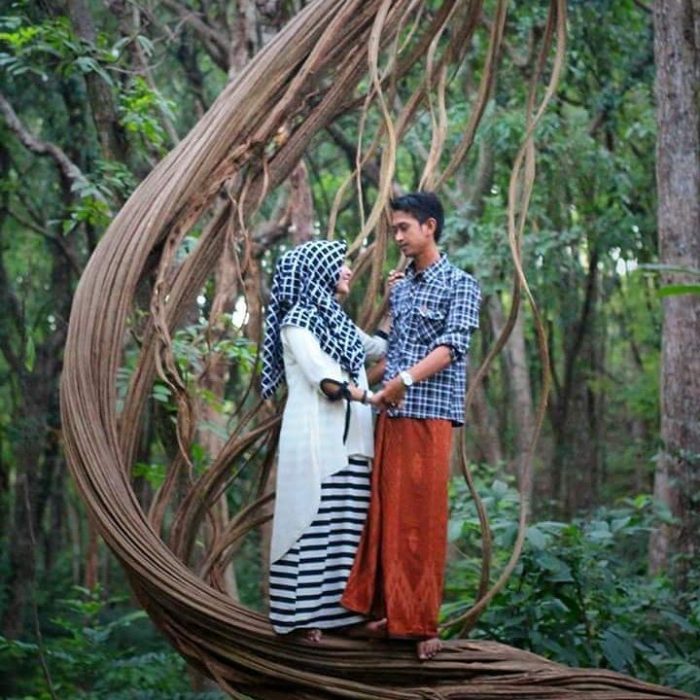 Spot Foto Instagramable Foto di Rumah Pohon Lestari via IG @anahunaifi, Informasi Umum, Lokasi Wisata Rumah Pohon Lestari Lamongan, Harga Tiket Wisata Rumah Pohon Lestari Lamongan, Menikmati Matahari Tenggelam, Galeri Foto