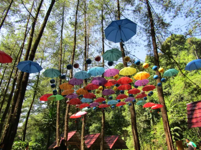 Spot Foto Instagramable di Payung Gantung Aneka Warna di Srambang Park Ngawi via Google Maps @RideR SFU, Informasi Umum, Lokasi Srambang Wisata Park Ngawi, Harga Tiket Masuk Srambang Park Ngawi, Fasilitas Wisata Srambang Park Ngawi, Spot Foto Instagramable, Daya Tarik Objek Wisata Srambangan Park, Galeri Foto