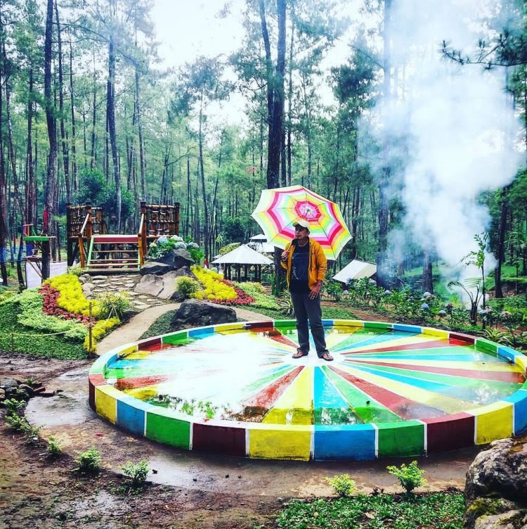 Spot Foto Instagramable, Informasi Umum, Daya Tarik, Lokasi Hutan Pinus Bendosari Pujon, Rute Hutan Pinus Bendosari Pujon, Harga Tiket Masuk Hutan Pinus Bendosari Pujon., Arena Permainan Seru, Kapal Raksasa di Tengah Hutan, Taman Bunga, Tempat Camping Asyik, Coba Wahana Flying Fox, Galeri Foto