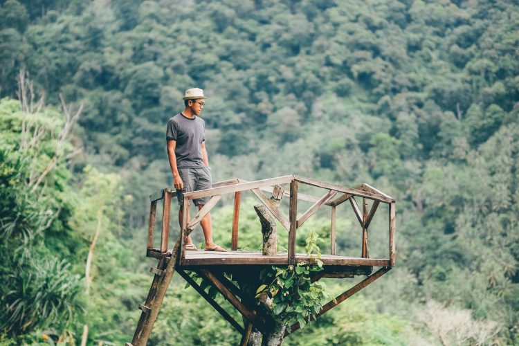 Spot Foto Rumah Pohon Gangga Murmas via Wiranurmansyah, Informasi Umum, Lokasi Rumah Pohon Gangga Murmas Lombok Utara, Rute Menuju Rumah Pohon Gangga Murmas, Harga Tiket Masuk Rumah Pohon Gangga Murmas, Galeri Foto