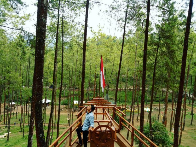 Wahana Flying Fox, Informasi Umum, Daya Tarik, Lokasi Hutan Pinus Bendosari Pujon, Rute Hutan Pinus Bendosari Pujon, Harga Tiket Masuk Hutan Pinus Bendosari Pujon., Arena Permainan Seru, Kapal Raksasa di Tengah Hutan, Taman Bunga, Tempat Camping Asyik, Coba Wahana Flying Fox, Galeri Foto